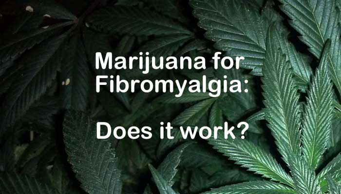 http://cannabiscorner.net/wp-content/uploads/2017/04/marijuanaforFibromyalgia.jpg