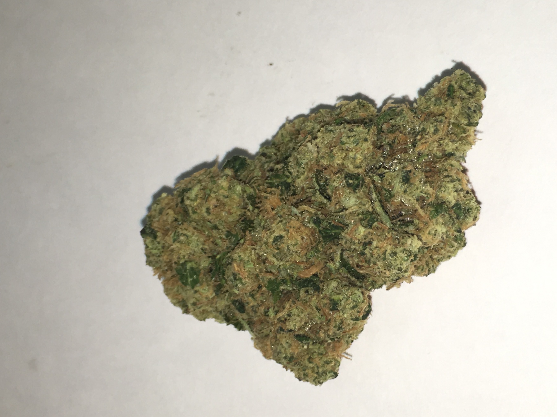 Image result for og kush