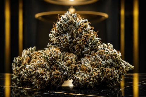 The Most Expensive Weed Ever Sold